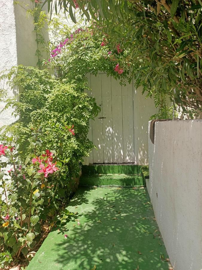 Wonderful Seaviews Only Adults Apartment Altea Exterior foto